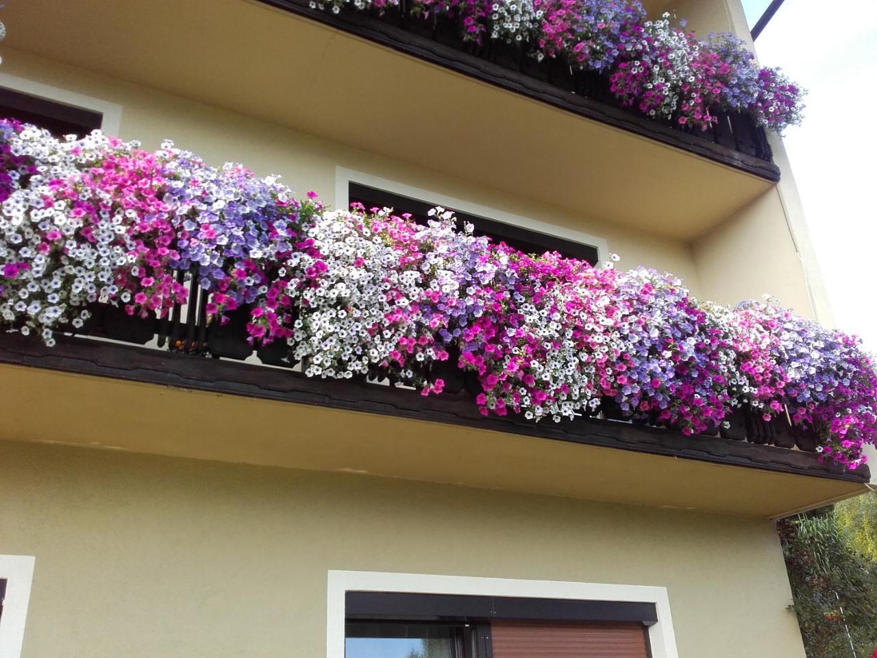 Appartement - Ferienwohnungen - Gaestehaus Gabriele Drobollach am Faakersee Kültér fotó