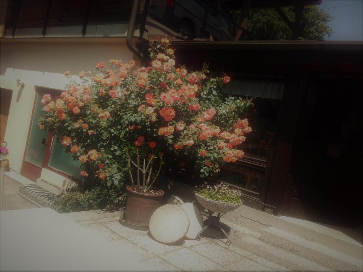 Appartement - Ferienwohnungen - Gaestehaus Gabriele Drobollach am Faakersee Kültér fotó